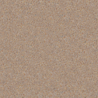 S-206 Wet Sand